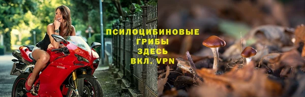 твердый Нефтекумск