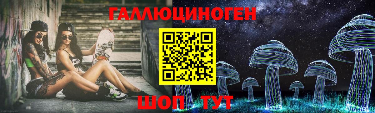 Псилоцибиновые грибы Psilocybine cubensis  Галлюциногенные грибы прущие грибы  Кизилюрт 