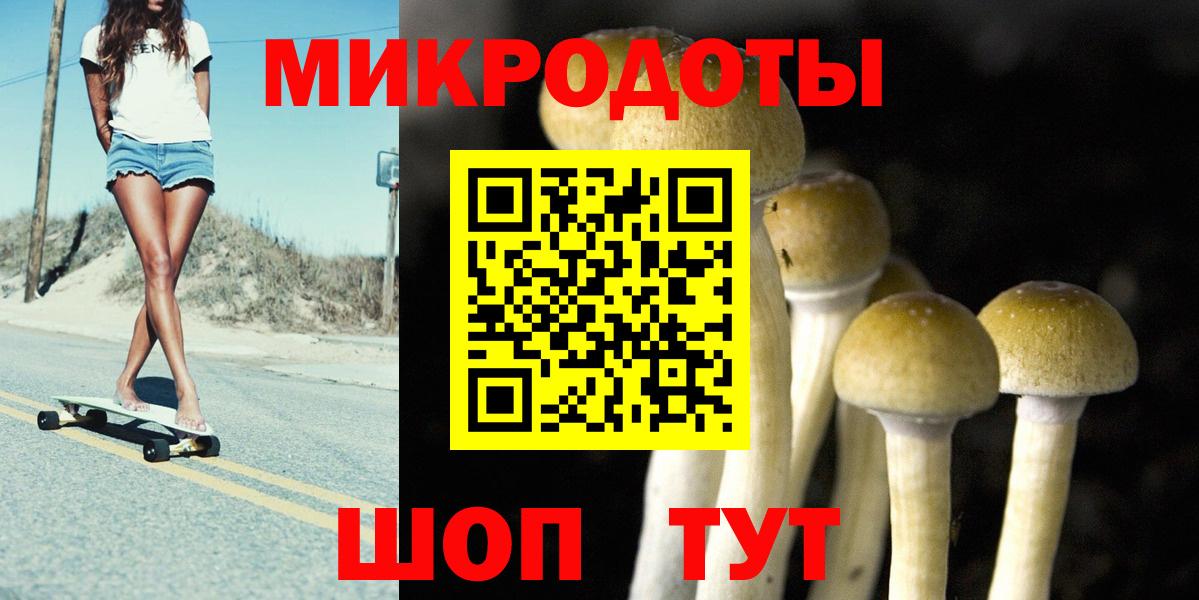 Псилоцибиновые грибы ЛСД Кизилюрт