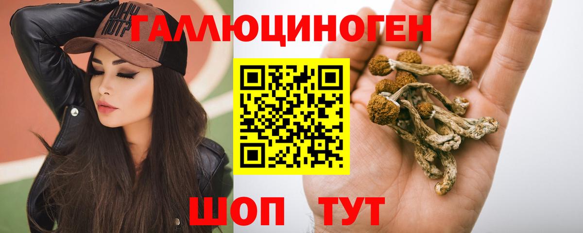 Кизилюрт  Галлюциногенные грибы мухоморы  Вход с VPN 